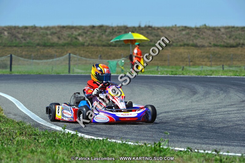 DSC_ (1560).jpg